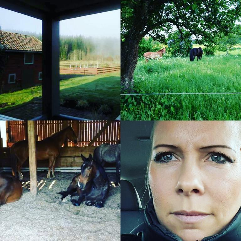 Вилла Bjaerkeryd Soedergard Bed & Stable Kisa Экстерьер фото
